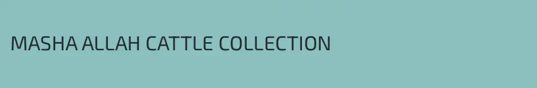MASHA ALLAH CATTLE COLLECTION